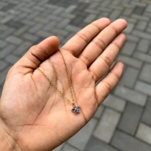 51383.jpg